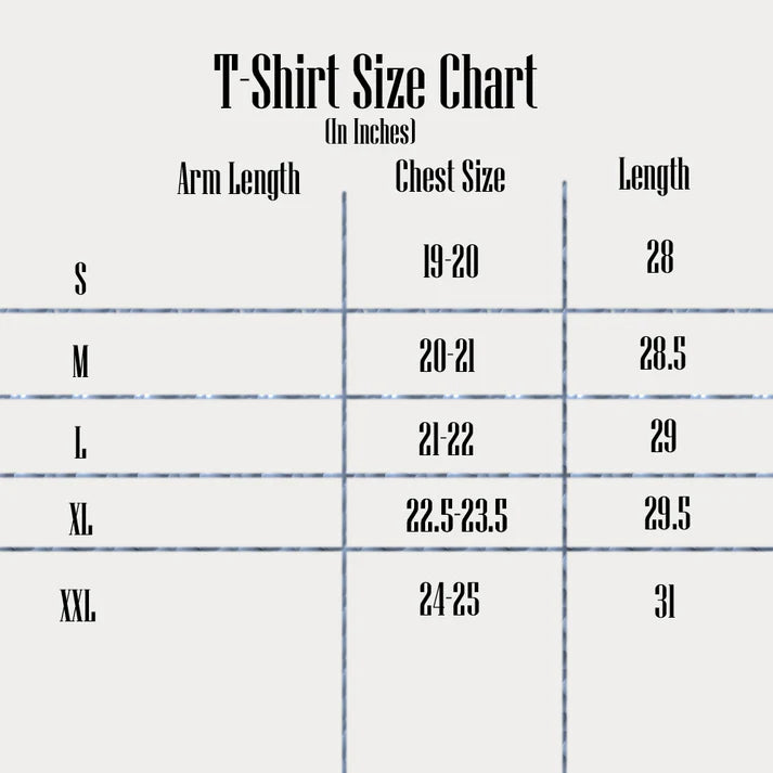 A-X IMPORTED MEN'S DESIGNER T-SHIRT (STONE)