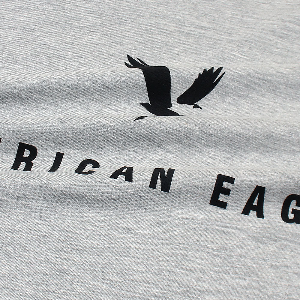 Amrcn Eagle Premium S/L Cotton T-Shirt (Heather Grey)