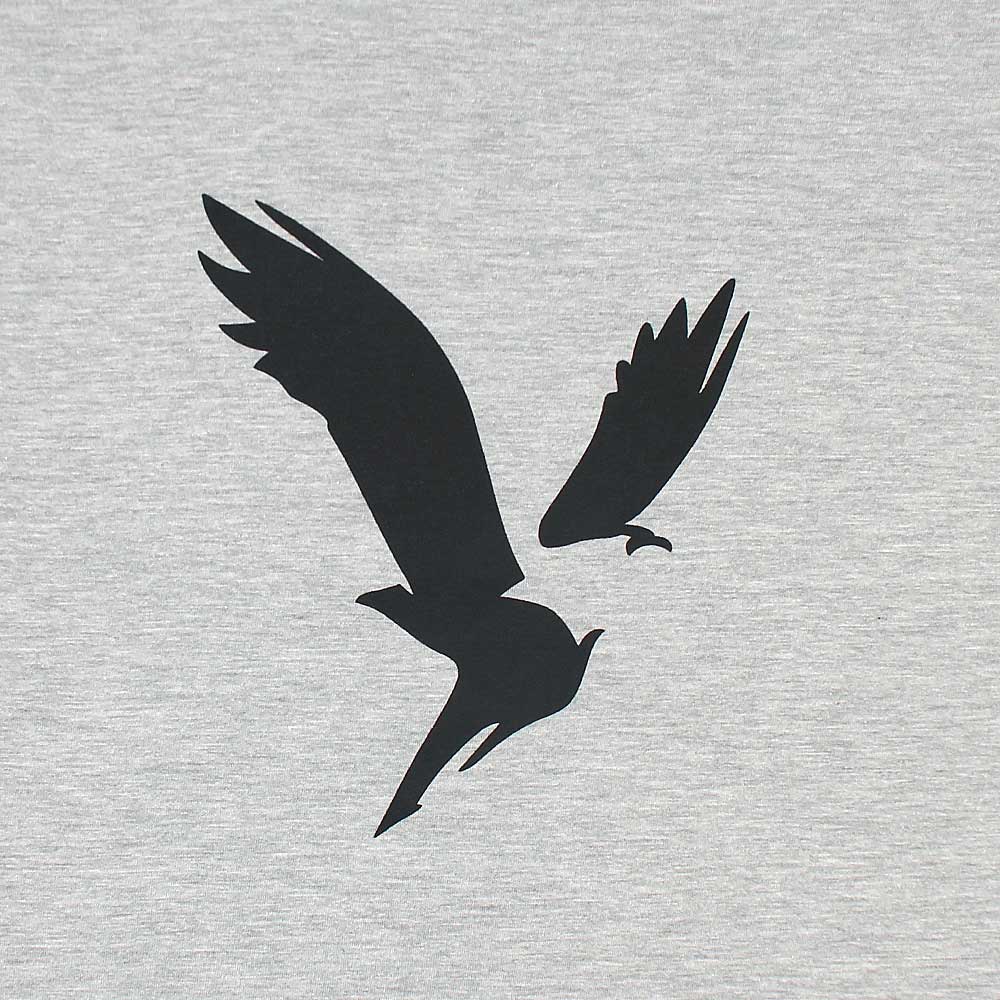 Amrcn Eagle Premium Cotton T-Shirt (Heather Grey)