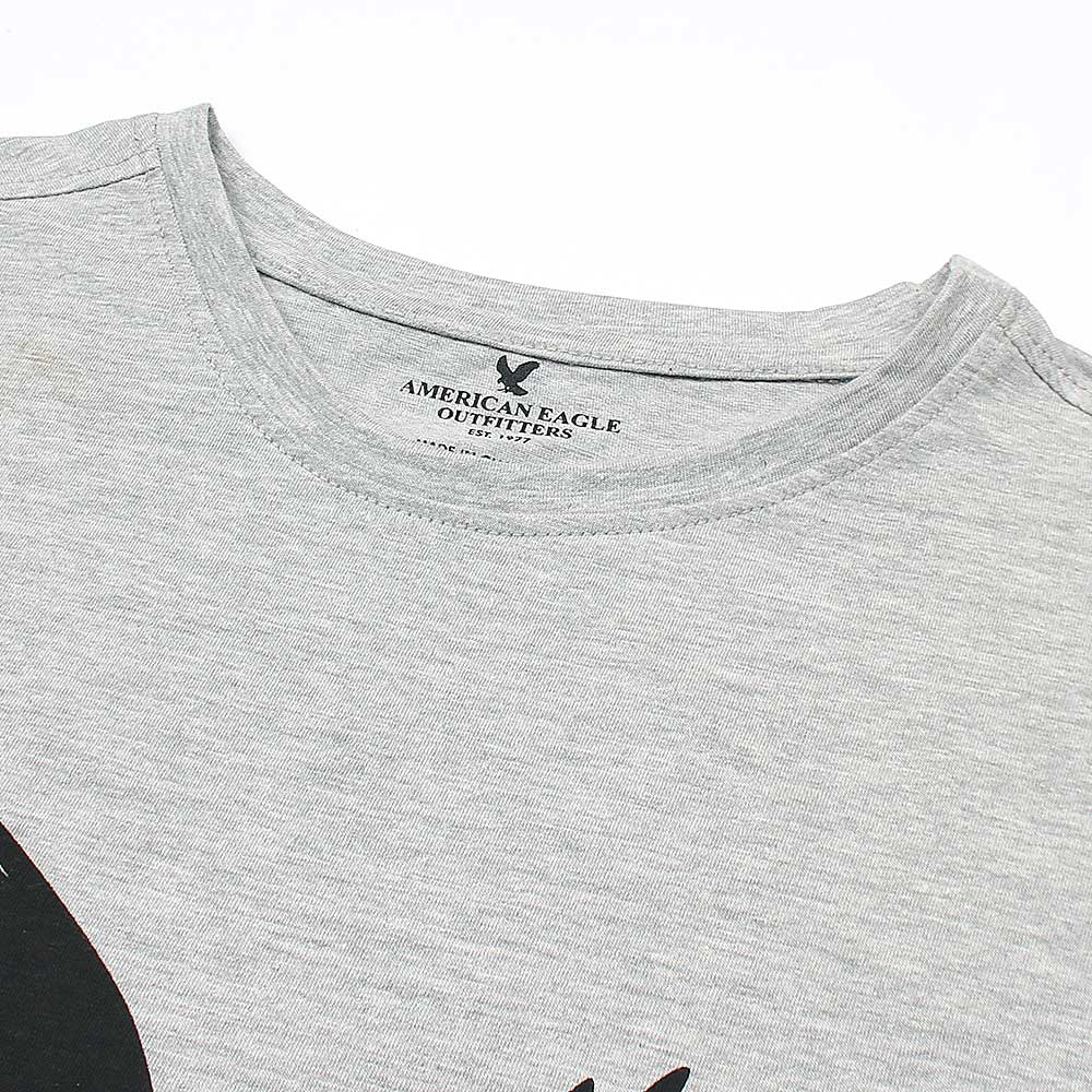 Amrcn Eagle Premium Cotton T-Shirt (Heather Grey)