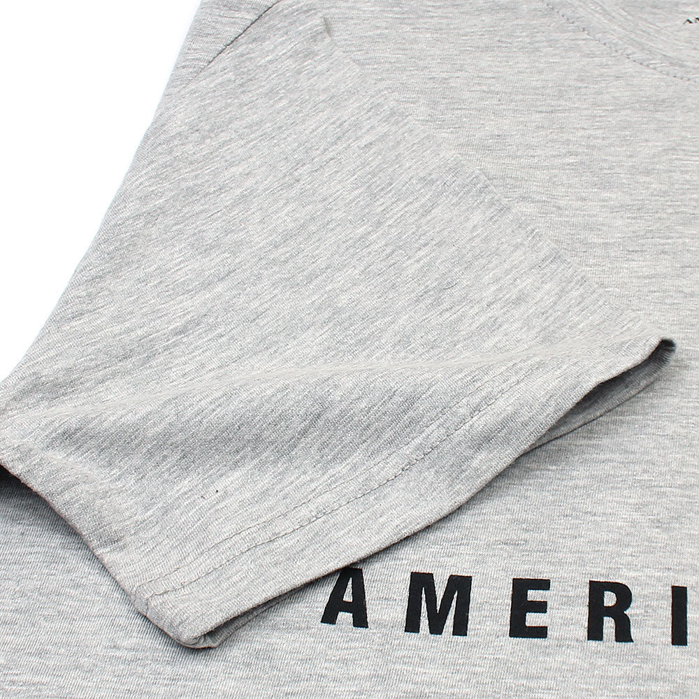 Amrcn Eagle Premium S/L Cotton T-Shirt (Heather Grey)