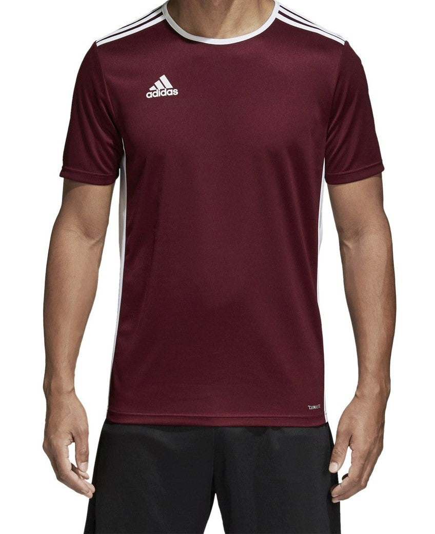 ADDAS Premium Dri Fit CLIMT T Shirt (Maroon)